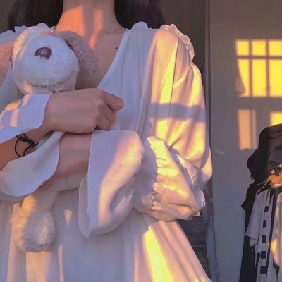 铁血雄师封面