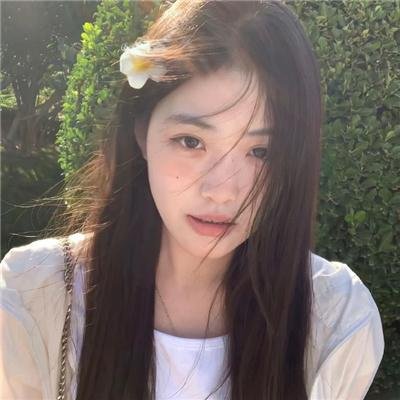 新女巡按封面